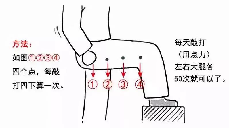 肝胆经的位置图片