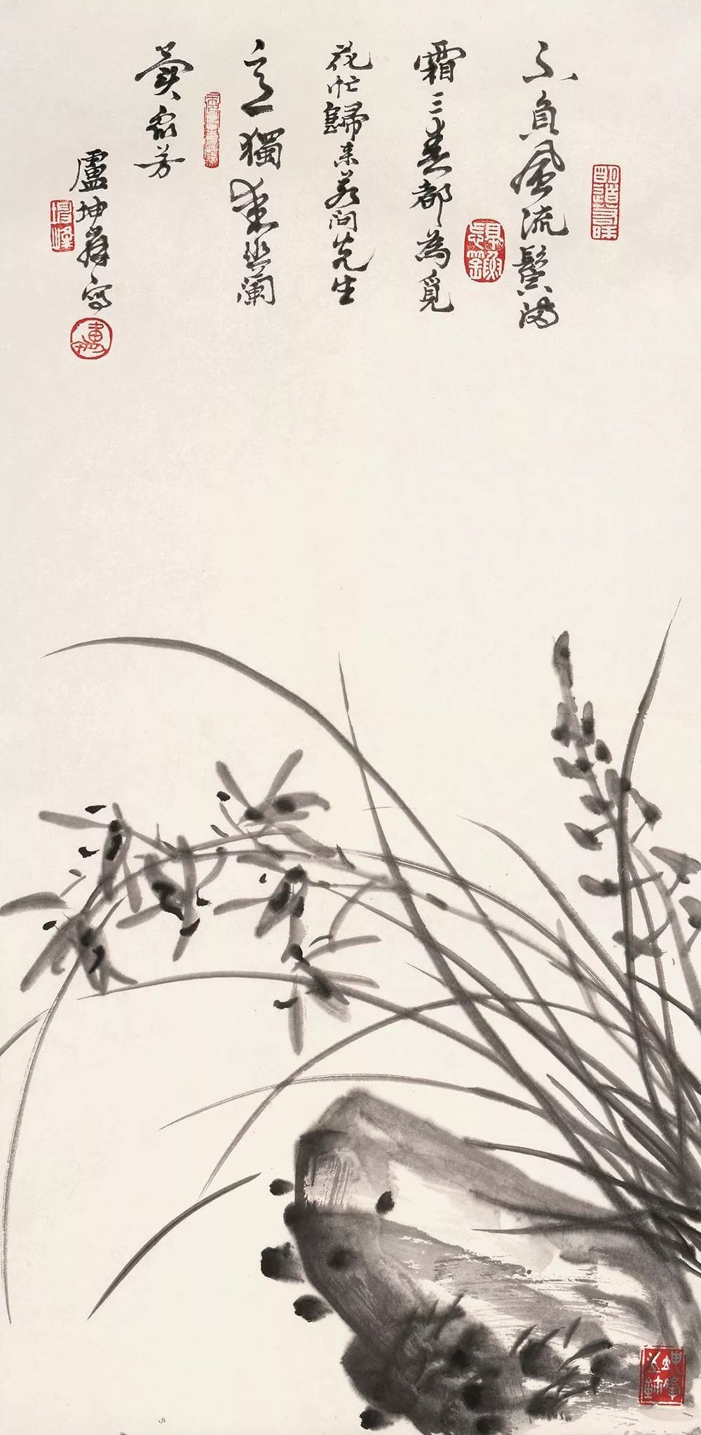 怎样画好兰花往下看