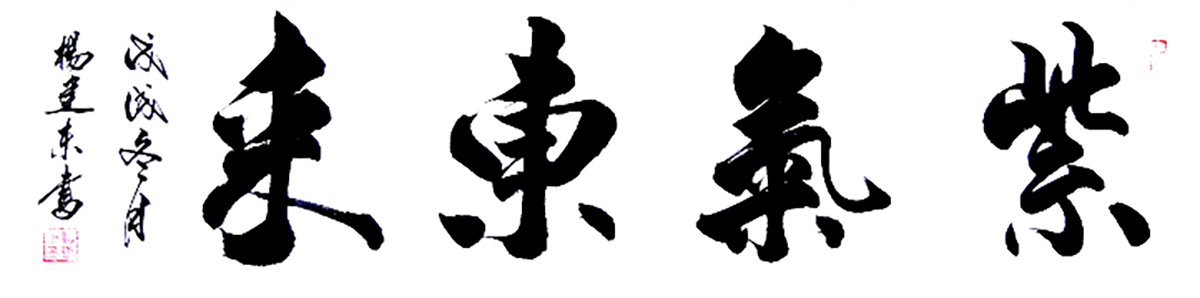 魅力中国艺术推选人物杨建东华夏文化名家第1210期