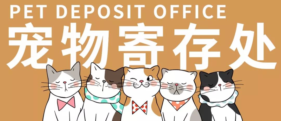 选择适合的宠物医院管理软件：一份选购指南