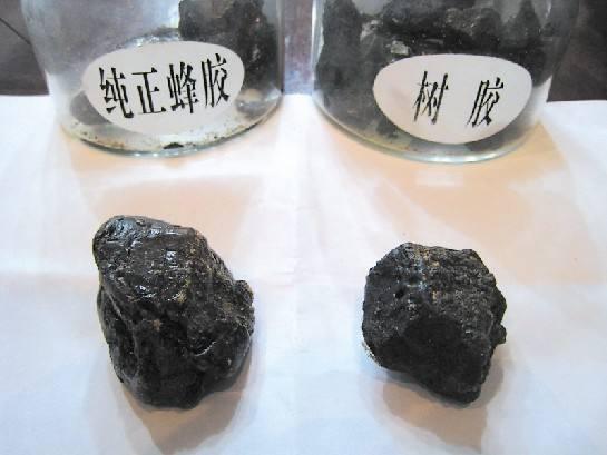 原创在农村有人一斤十几元收购杨树芽,现在还有人收吗?有啥大用途?