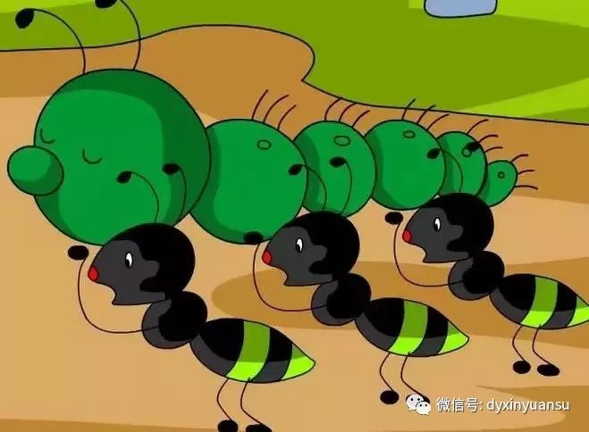 东营新元素幼儿园欢乐时光之小三班小蚂蚁运粮食