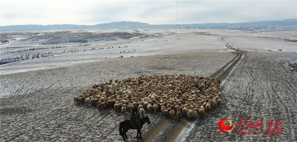 航拍新疆哈巴河县牧民冬季艰辛转场(组图)_牲畜