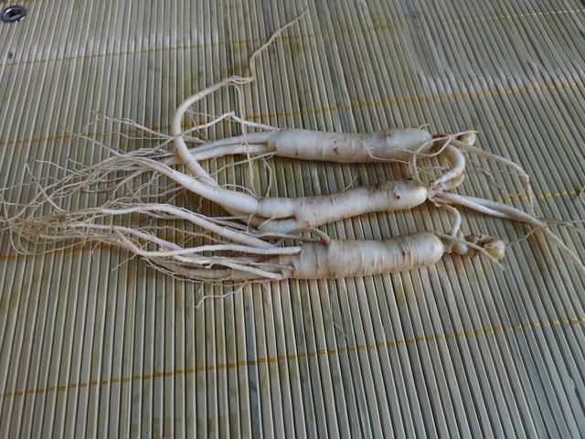 准备5年生鲜人参3株共计4g,600g猪肉,韭菜250g,除人参根据吃饺子人均