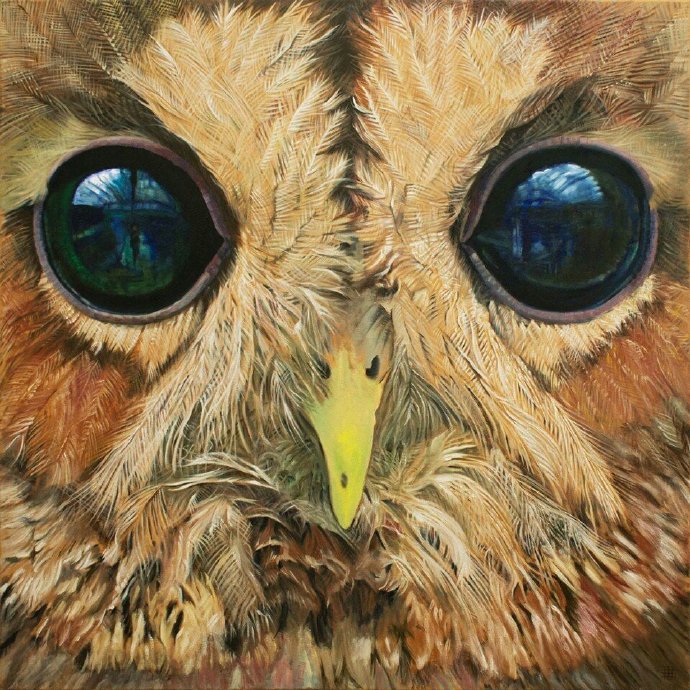 动物肖像插画,萌萌的小眼神-王氏教育