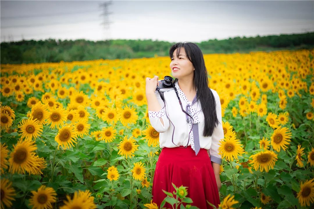 她,5年拍了7000张香山美照,无数公众号都用来做封面_李彩霞