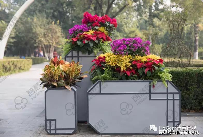 古典的花箱造型,错落有致的植物搭配成为园内的独特景观,也为周边环境