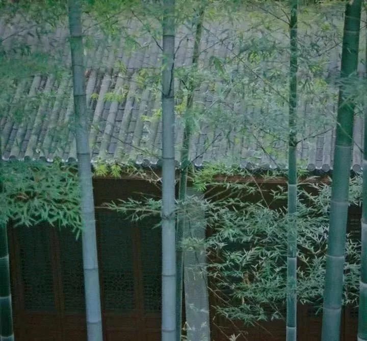 竹· 院_竹林