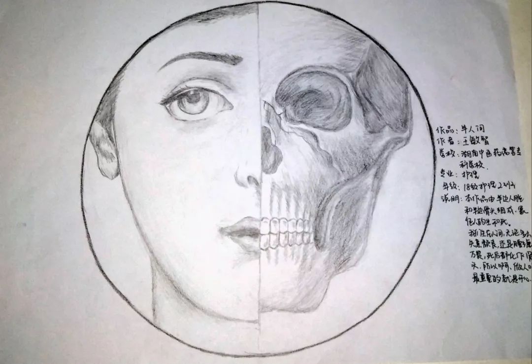67人体解剖绘图大赛②医学生绝世武功大公开医专的艺术家