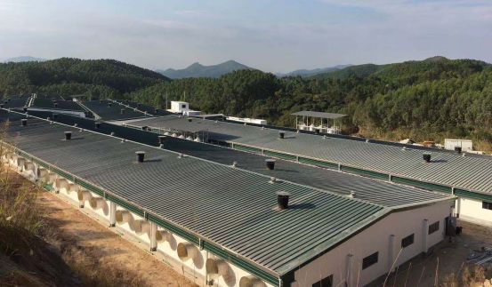 猪场丹麦式入场,丹麦式进入猪场模式_文秘苑图库
