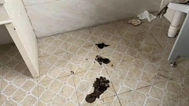 云岩鲸头生态公厕太脏了你知道吗