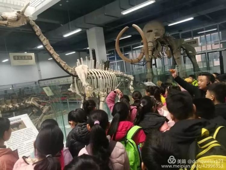 走进力明艺术宫一实小花园校区书香诗韵中队五年级二班研学行