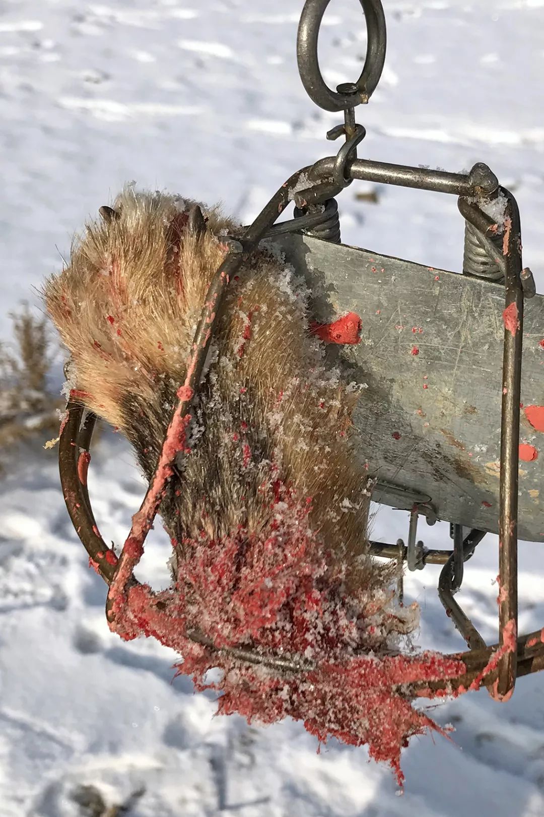 新闻摄影为何换了照片改了标题就得了中国新闻奖