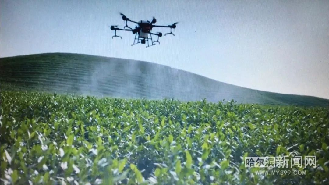 深哈合作大疆无人机翱翔黑土地丨深圳高科技护航北大仓