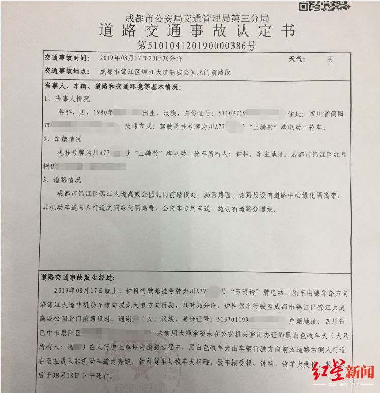 成都小伙被狗撞倒致9级伤残,交警出具交通事故认定书:认定男子无责!