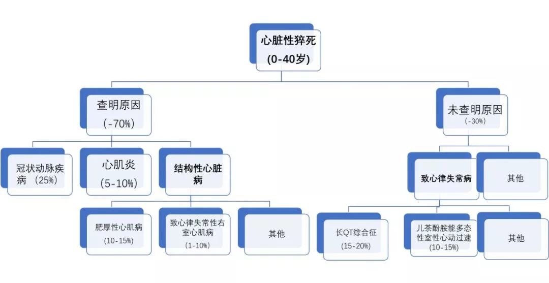 心源性猝死的可能病因据统计,中国每年猝死人数已达百万.