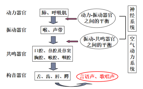 发声障碍?不妨试试发声训练_声带