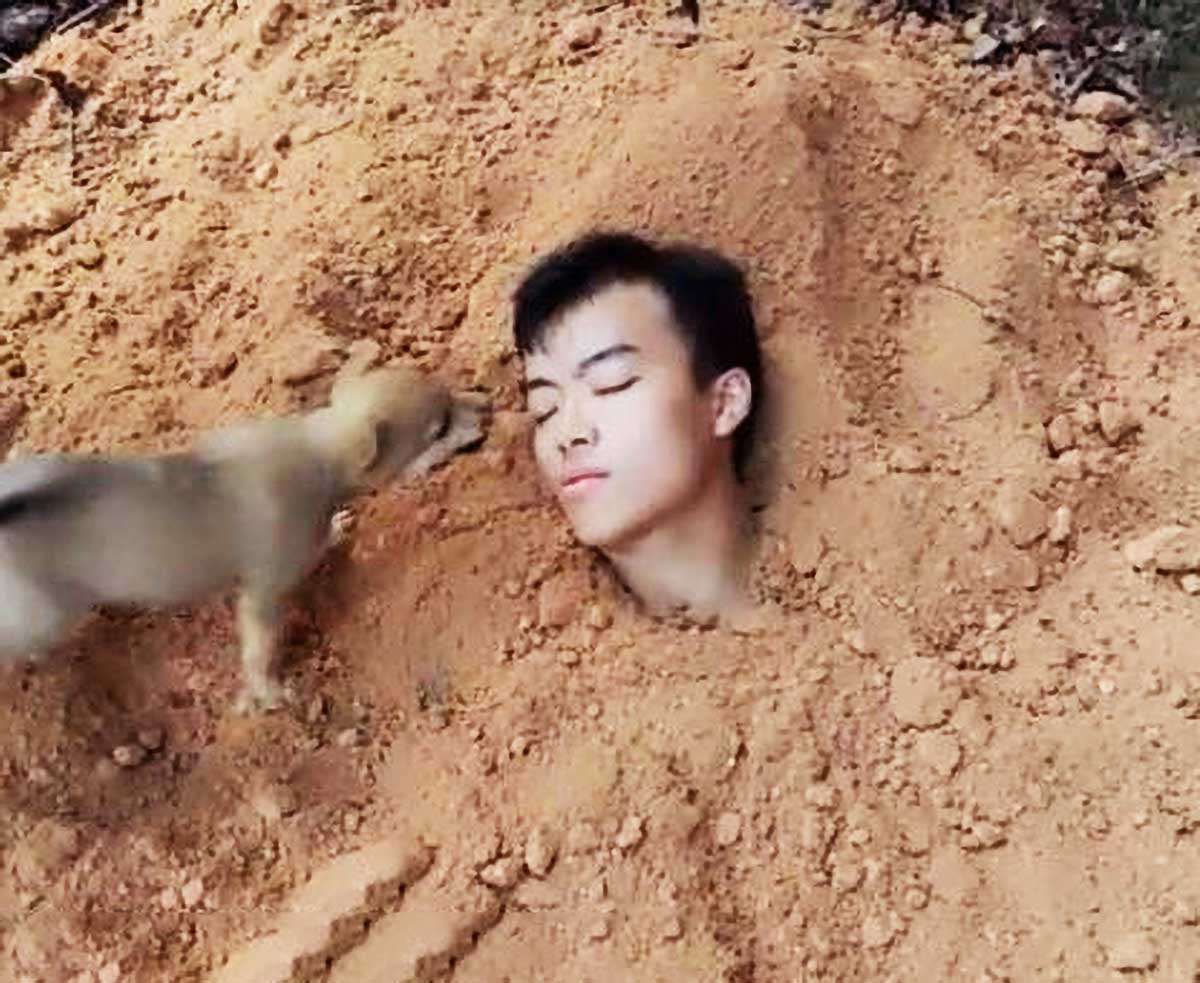 原创主人想逗狗狗玩,竟将自己埋进土里,但它下意识的举动,让人泪奔