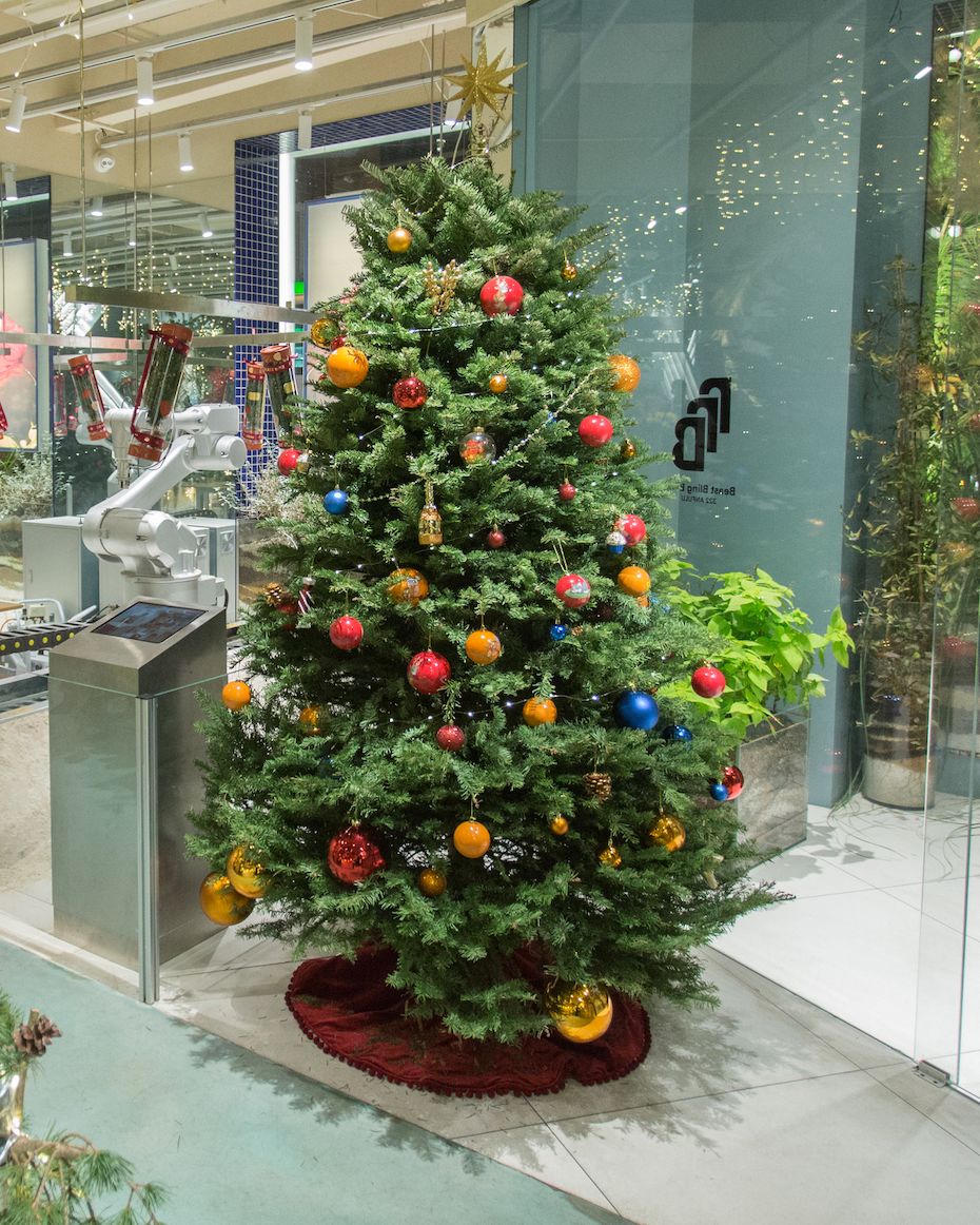 一棵有生命的圣诞树掉你一身毛