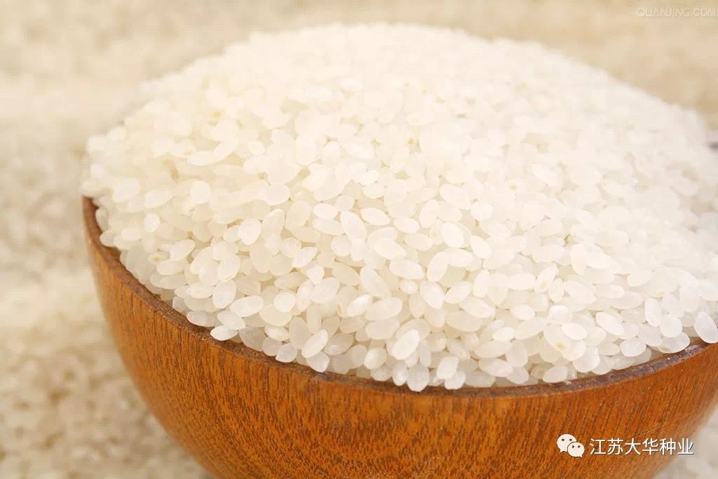 爱种优选大华种业水稻种子华粳5号