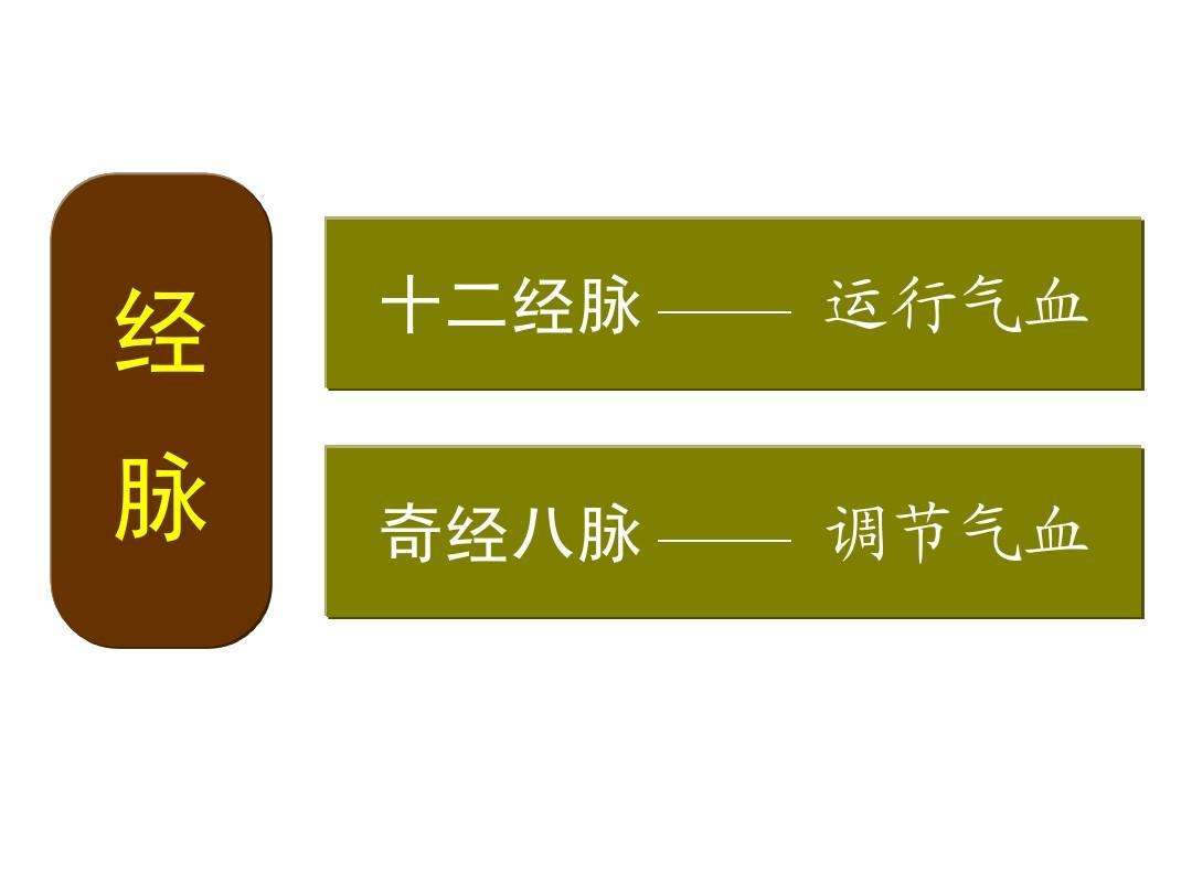 讲述人体的"奇经八脉"和十二经络,原来人体经络是这样运行循环