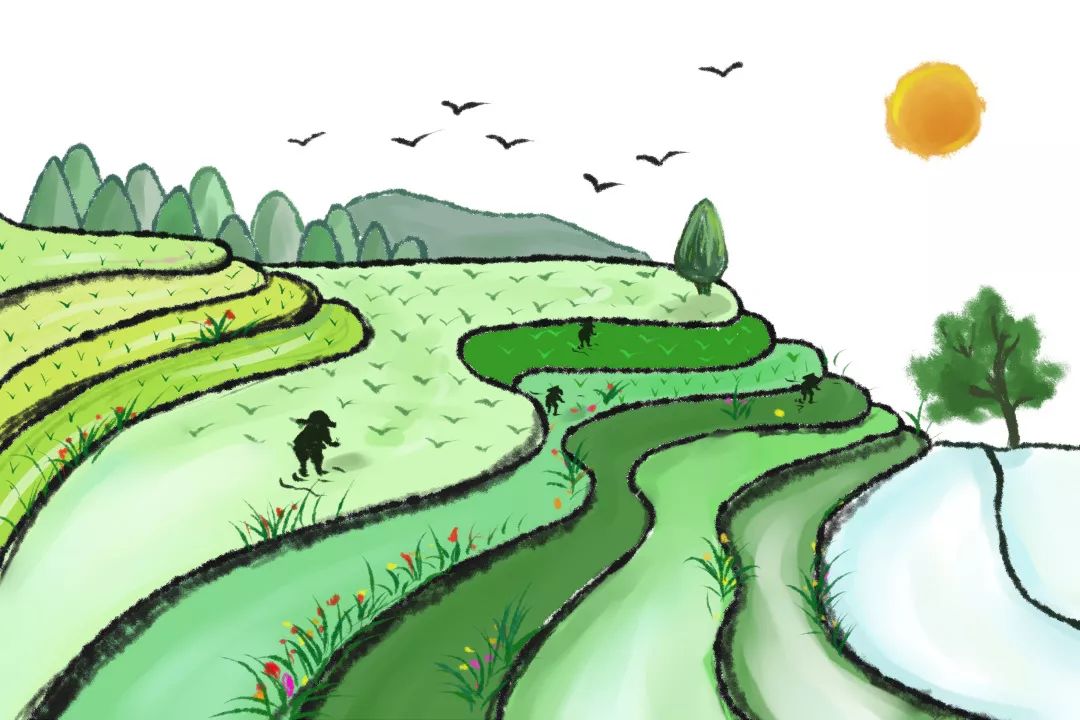 一次小型的闭门的安静的田间劳作