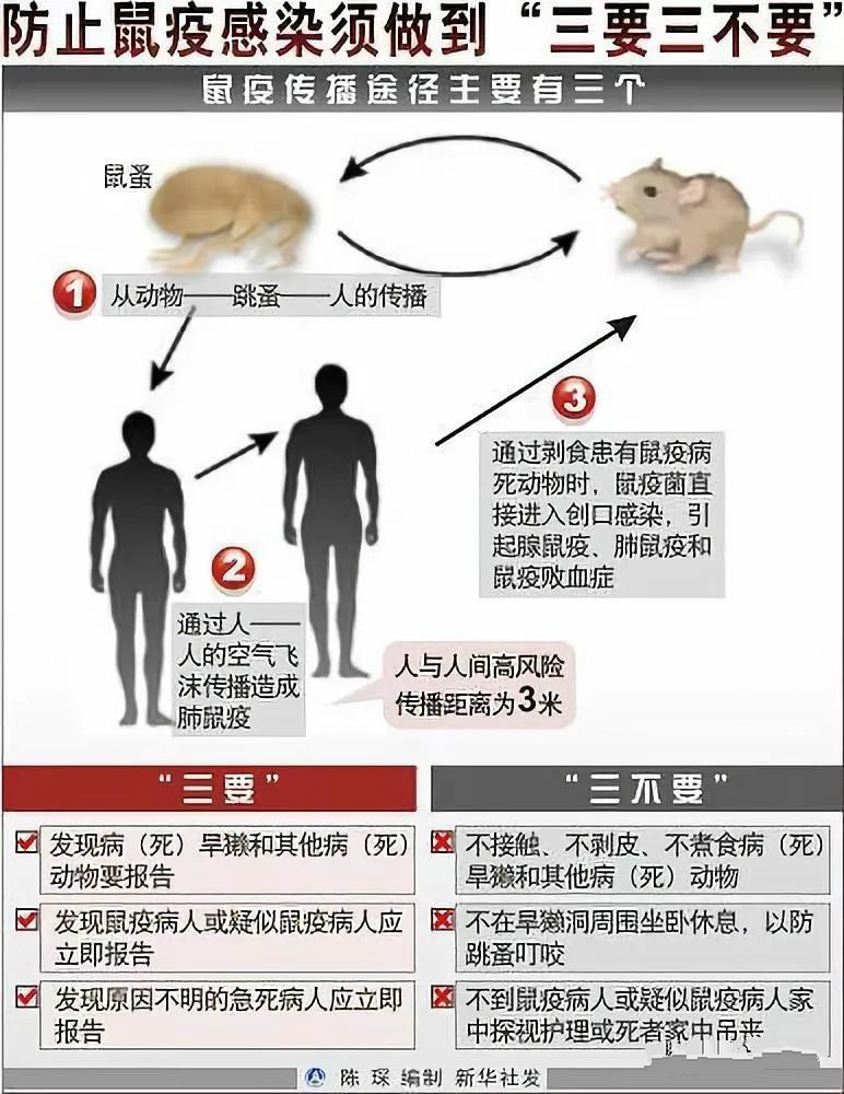 鼠疫防控"三报三不"制度到底是啥?