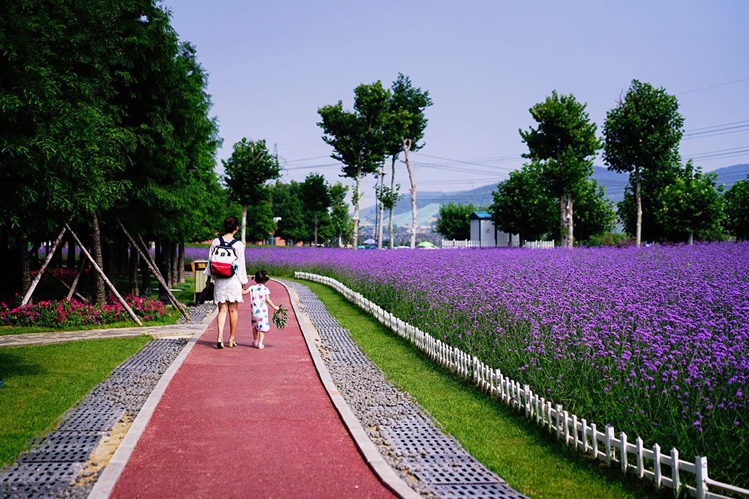 羊亭公园天然画廊带给你不一样的精致体验