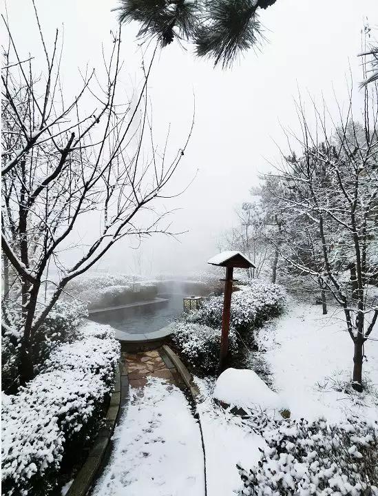 唐山周末:赏雪景,泡温泉,舒舒服服一整年!