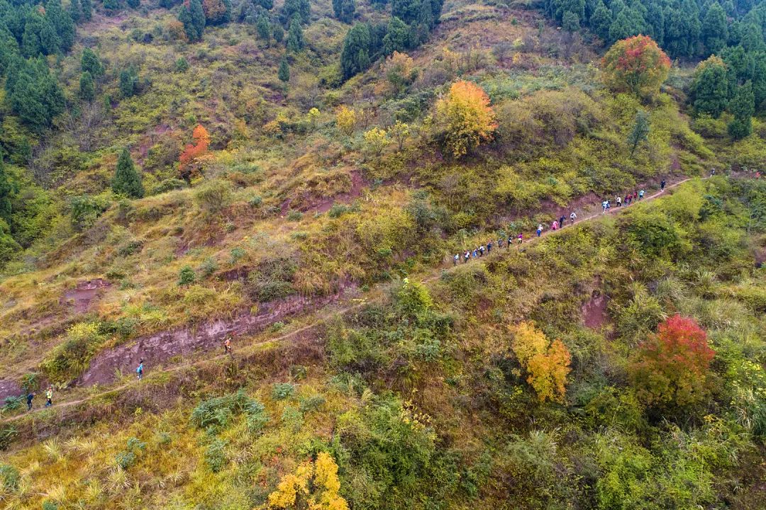 燃成都龙泉山超百公里越野挑战赛今日燃情开跑