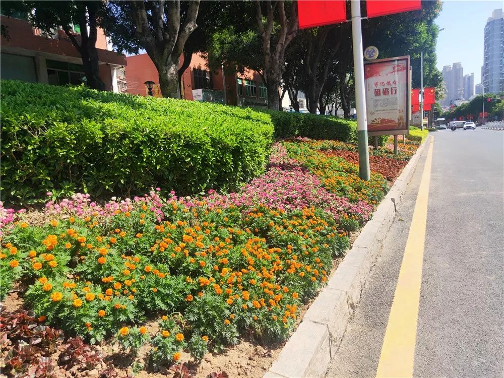 行业动态厦门城市道路绿地养护专项考评报告十月份