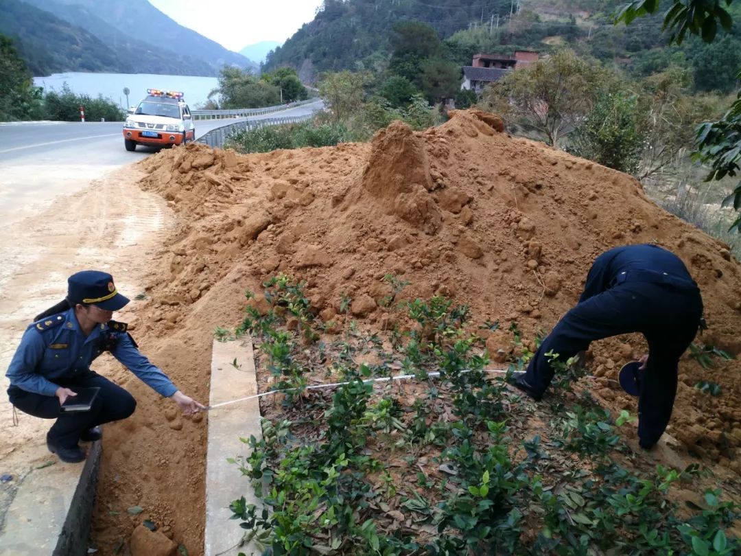 一线公路人 公路绿化带岂能弃土成堆?