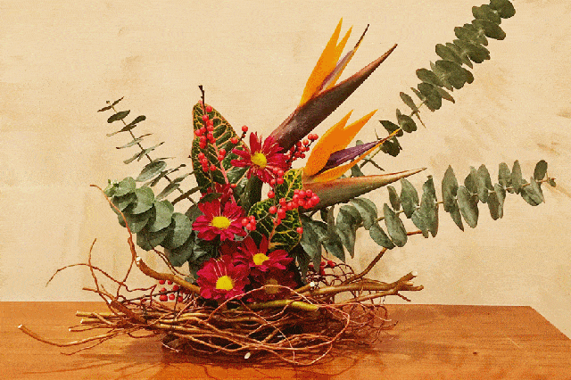 640_426gif 动态图 动图