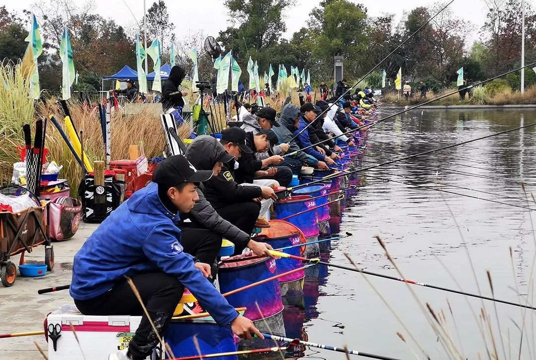 全国钓鱼锦标赛龙游开战,300余名高手扬竿竞技!_比赛