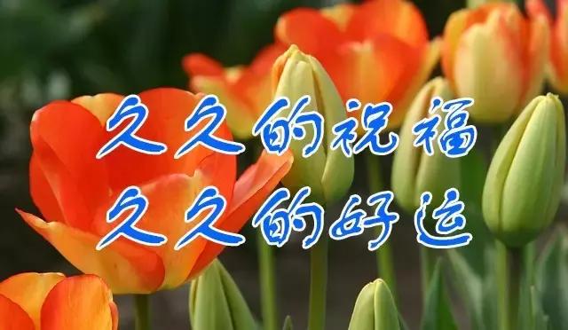 今天11月29爱久日最长久的祝福送给你祝你幸福久久快乐久久