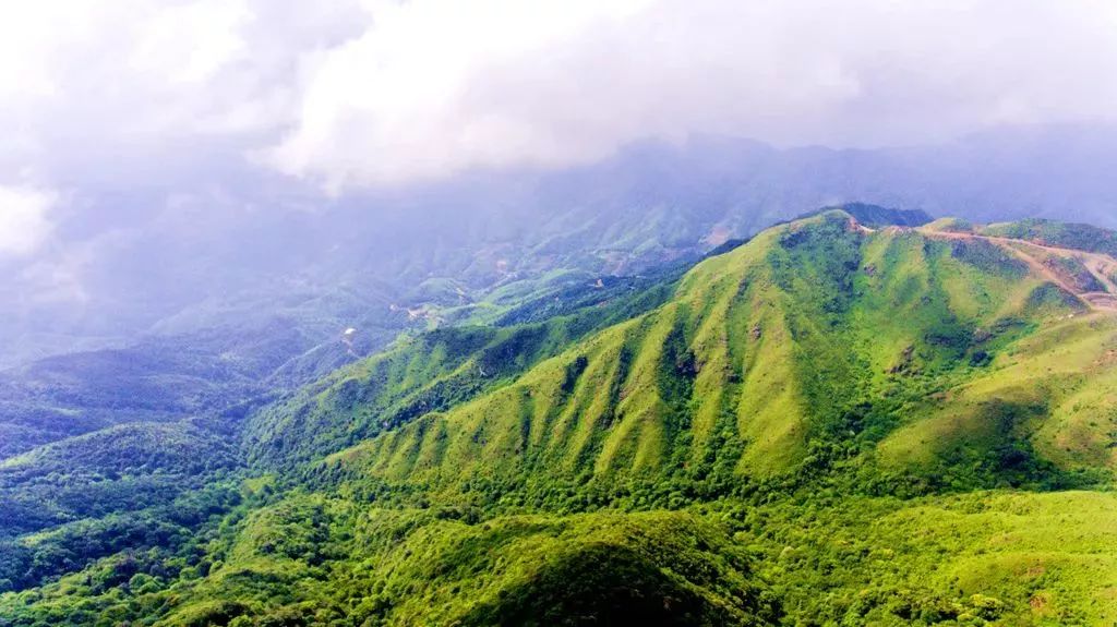 广东省韶关市仁化县长江镇交通方式:直接导航"万时山草原"即可