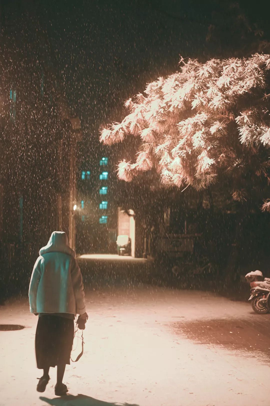 归途我在这飘渺的雪夜漫步我爱这情,这景爱这寂辽的深夜爱每片雪花,每