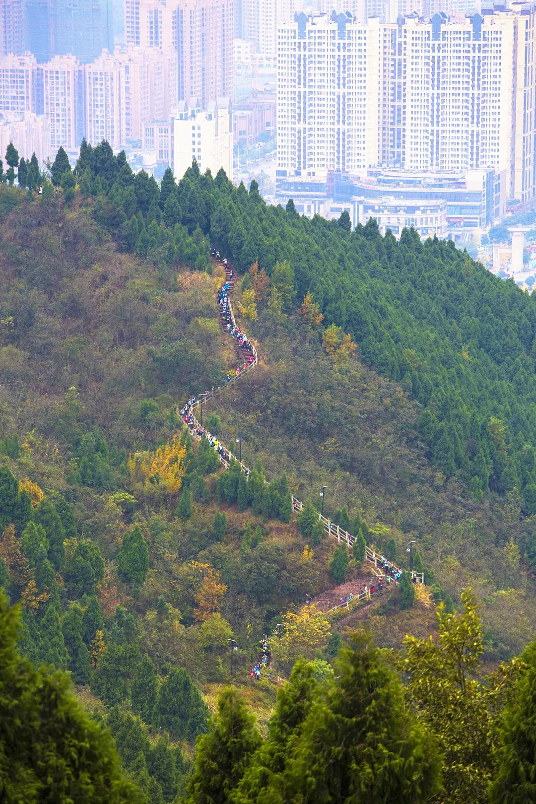 譚靖 攝影龍泉山城市森林公園規劃總面積1275平方公里其中金堂片區