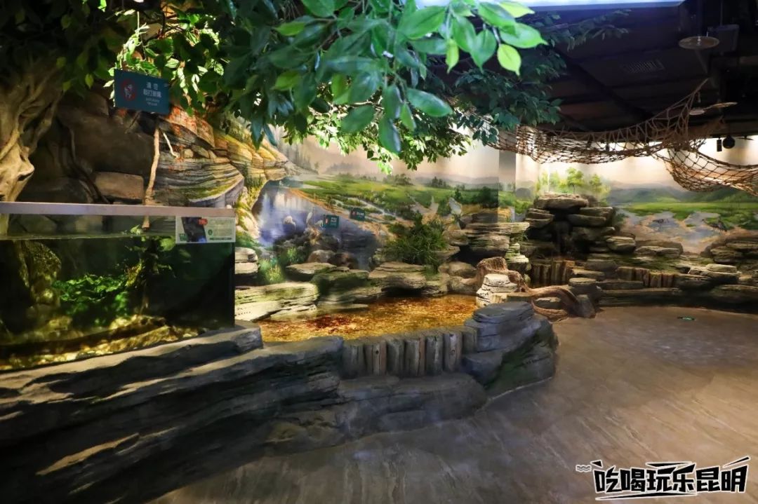 潍坊全生态室内动物园图片