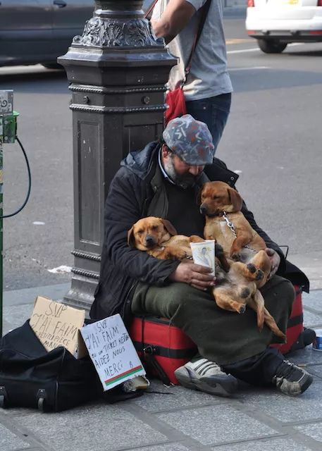 施舍流浪汉竟被罚款100欧元!法国对无家可归的他们究竟有多坏?