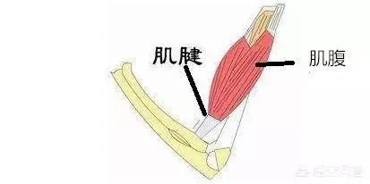 儿康进行时第29期镫骨肌奋斗的故事