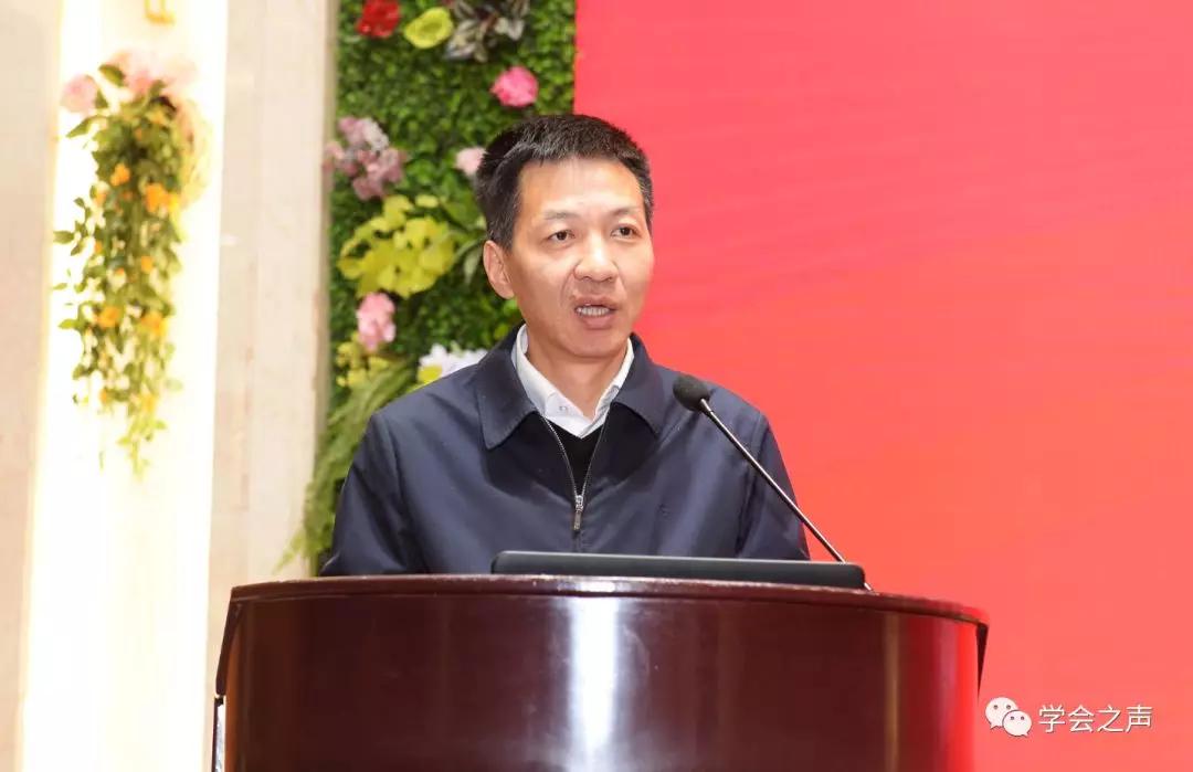 合浦县委书记 杨斌