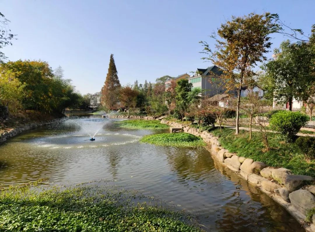 居民有福了涉及海宁10个街镇1个街镇仅1处