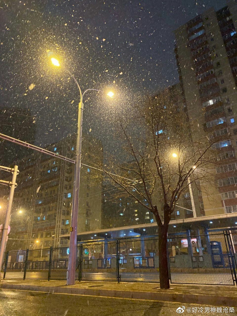 下雪了石家庄迎初雪竟然是这里下得最大现场直击