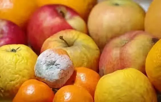 刚刚woolies又双叒叕出事了买苹果送铁钉买草莓送活蛆女童差点一口吞