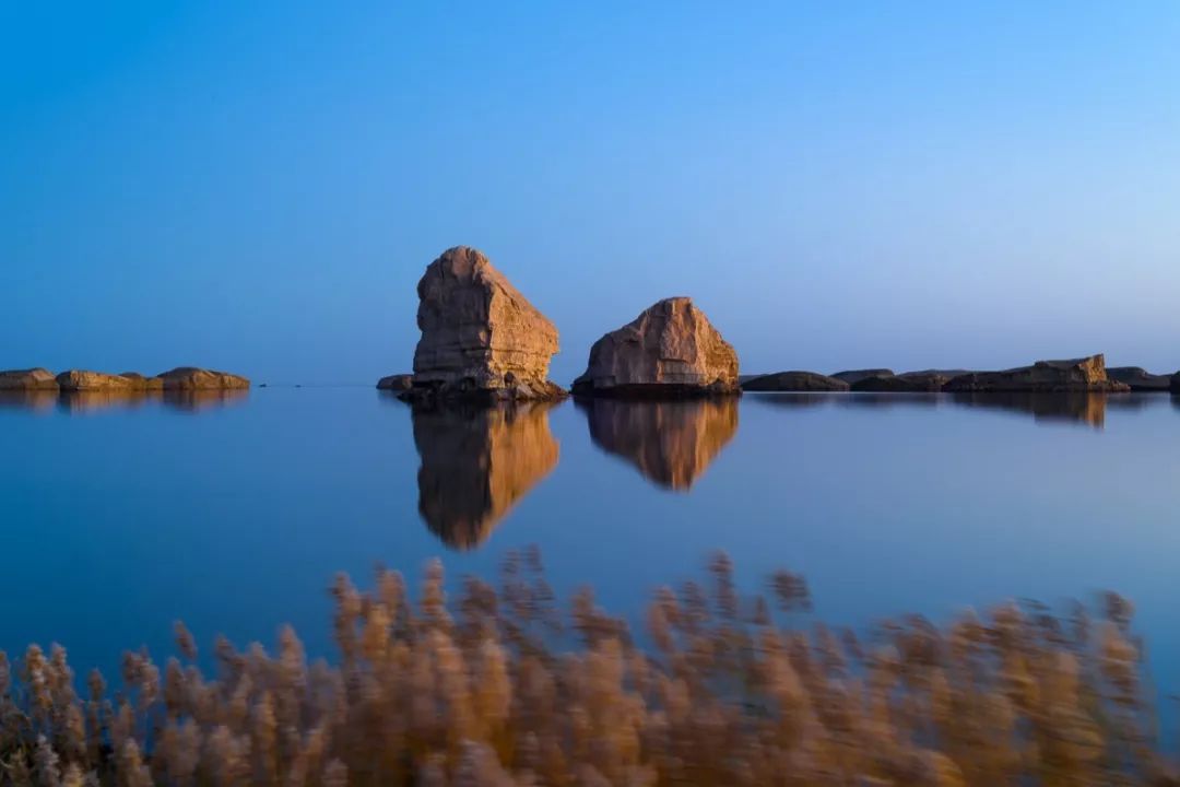 翻开大自然的四次元口袋,看看里面装了哪些"神奇宝贝"_艾肯