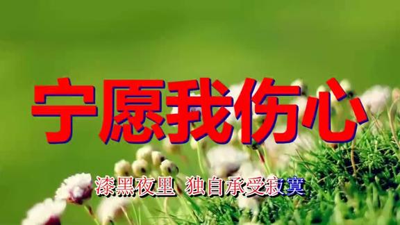一首催人泪下的伤感歌曲宁愿我伤心不知唱哭多少相爱的人