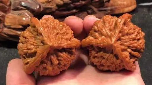 三棱文玩核桃真假辨别主要看这几点