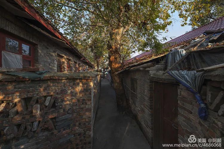 美文欣赏杨家冲一巷走来70年