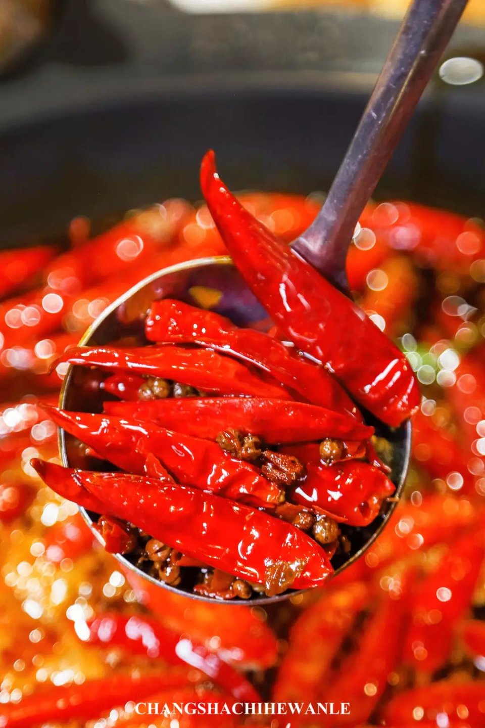 38折火遍全国的神级火锅开到河西一口征服你的胃